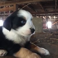 Carter Kunze (@carterkunze) 's Twitter Profile