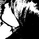 Luna - @LunaKramer - Twitter