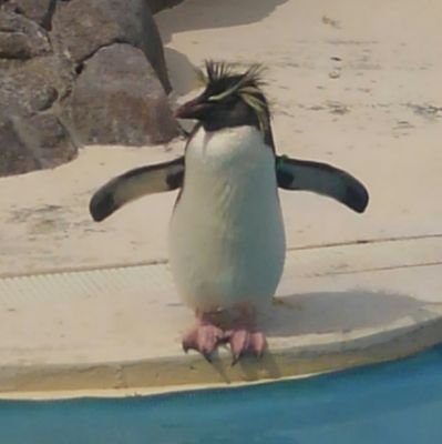 kaori_1011's profile picture. Twitterは初心者です🍀
星野源さんが大好きです😆
よろしくお願いします🌻