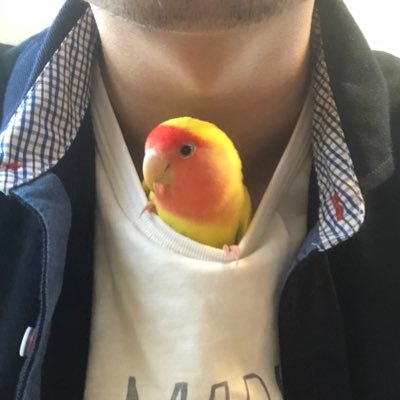たーさんのプロフィール画像