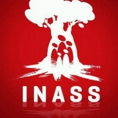 INSTITUO NACIONAL DE SERVICIOS SOCIALES ADSCRITO AL MINISTERIO DEL PODER POPULAR PARA LA PROTECCION SOCIAL