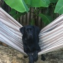 Ginger Kane - @GingerLKane - Twitter