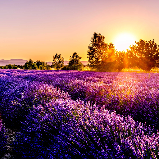 NailNotes8's profile picture. 