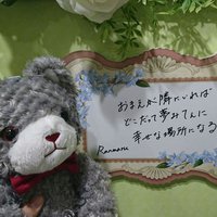 よこみゆ固定必読(´・ω・`)取引垢 (@fwuhnpxaykpj5mb) 's Twitter Profile