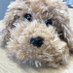 Rights Respecting Rufus (@rightsrufus) Twitter profile photo Rights Respecting Rufus (@rightsrufus) Twitter profile photo