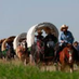 WagonTrain (@wagontrain2) Twitter profile photo WagonTrain (@wagontrain2) Twitter profile photo