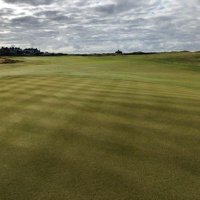 findingfescue (@findingfescue) 's Twitter Profile Photo findingfescue (@findingfescue) 's Twitter Profile Photo