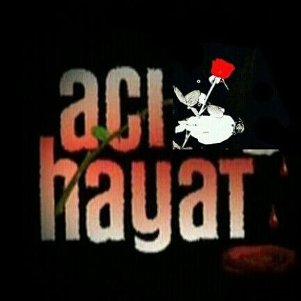 achayat12329806's profile picture. Aşk