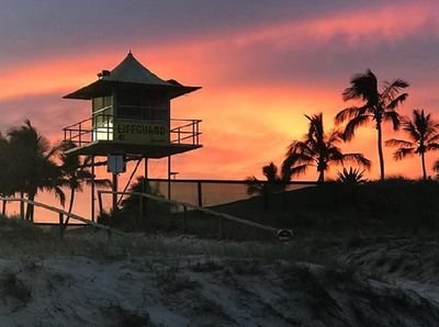 Nathali19690037's profile picture. une femme simple,gentille et aimable