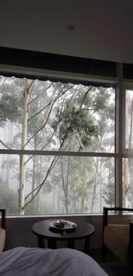 fulaiti532's profile picture. سبحان الله وبحمده