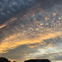 F3 Slapshot (@f3slapshot) 's Twitter Profile