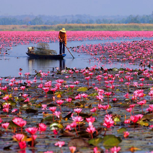 modaljar's profile picture. " الْحَمْدُ لِلَّهِ الَّذِي بِنِعْمَتِهِ تَتِمُّ الصَّالِحَاتُ"