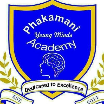Established in 2014, Phakamani Young Minds Academy is a youth-led non-profit organization providing academic assistance, support and mentorship to learners.