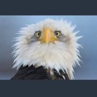 crptmg Ultiverse⚡️🐑🐉$MON Add .$UNIO🕹️ $RCADE (@cryptomage1) 's Twitter Profile