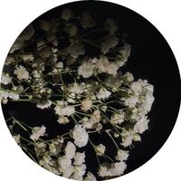 AMJAD (@jo0od6969) 's Twitter Profile