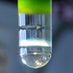 Cape Bio Pharms (@capebiopharms) Twitter profile photo Cape Bio Pharms (@capebiopharms) Twitter profile photo