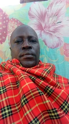 SinganoFrank's profile picture. frank singano