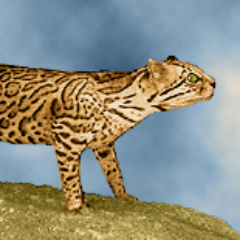 solar2st's profile picture. 🌝🌖🌗🌘🌚🌒🌓🌔🌝