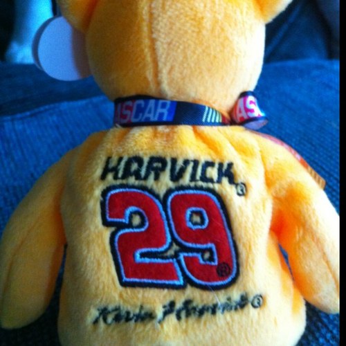 ratking7272's profile picture. gotta have all the toys #