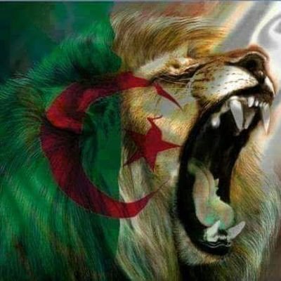 Aminekhaldi7's profile picture. 