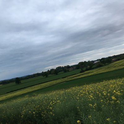 fearfree2's profile picture. Yo