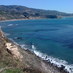 PalosVerdes Families (@pvfamilies) Twitter profile photo