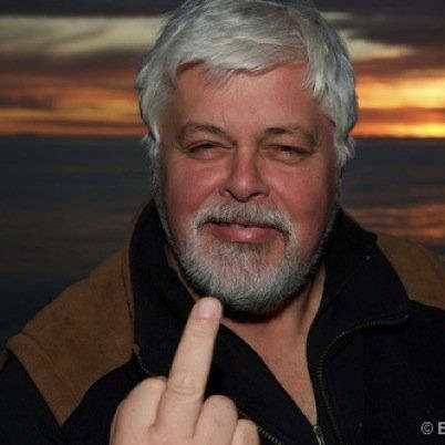 HrElvis's profile picture. Wer die Menschen kennt, liebt Tiere. Misanthrop.