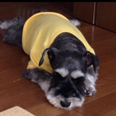 10shunshun05's profile picture. 乃木坂46 小川彩ちゃん推し。 UVERworld好きです。 NBA好きです。 ドラゴンクエストウォークやってます。パチンコ好きです。