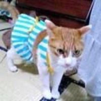masato_ogino (@00nih00) 's Twitter Profile