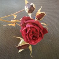 mahbube (@mahbubess) Twitter profile photo