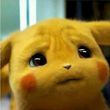 pikanoseucu ⚡