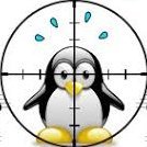 sigkill10's profile picture. The SIGKILL signal is sent to a process to cause it to terminate immediately (kill). In contrast to SIGTERM and SIGINT, this signal cannot be caught or ignored.