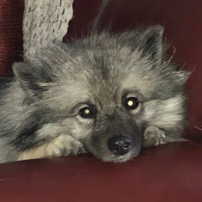 BethWhatistruth's profile picture. 