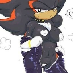 hey my name is shade the hedgehog and(fan account bf @FireHedehog
 sis @shadethehedgeh4 and my sister @caulifla2132