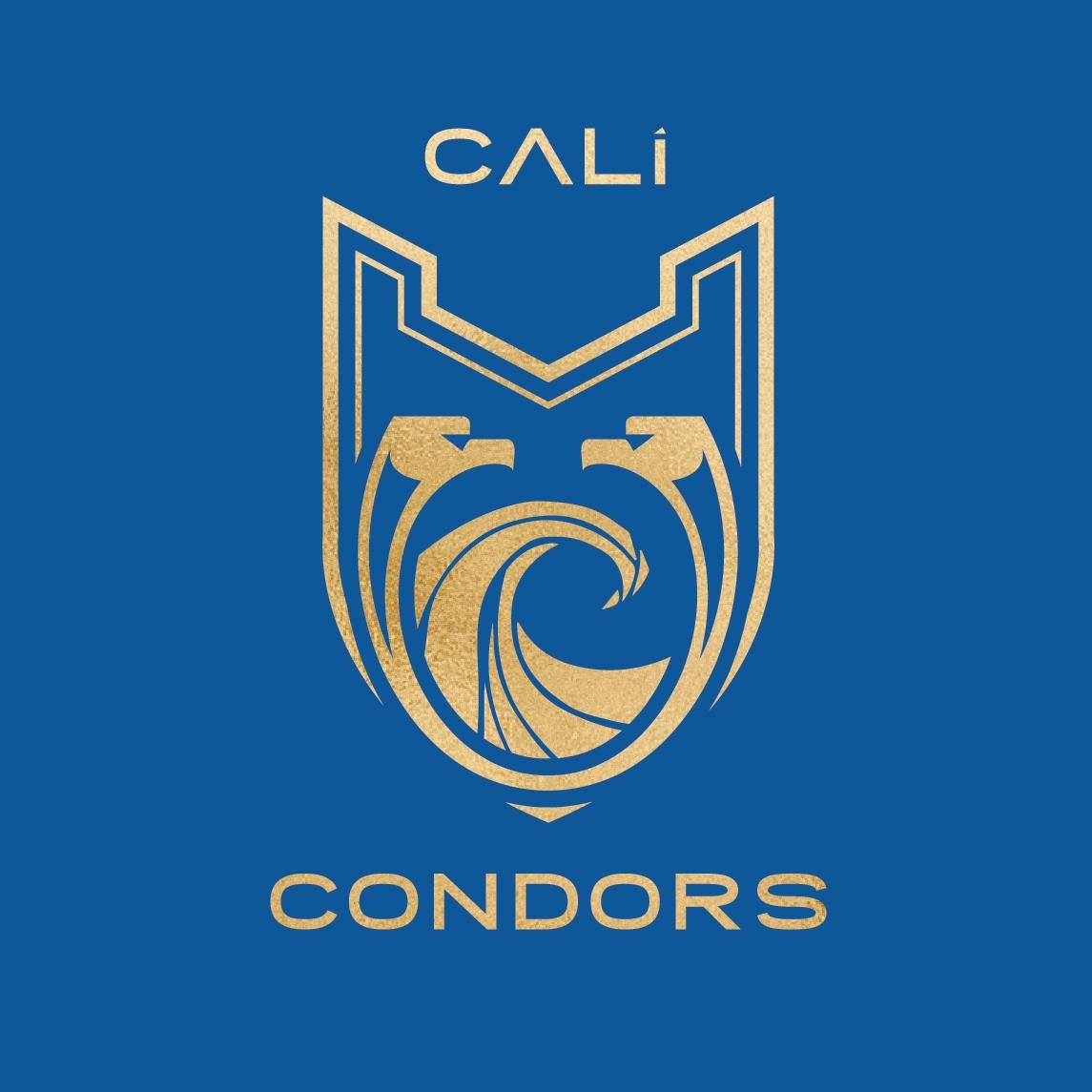 Official Account of Cali Condors 🦅⇒@iswimleague⇒https://t.co/kXQrkpvkQt⇒🏆2020 Champs⇒GM @JasonLezak⇒HC @CoachJeffJulian⇒Captains Caeleb Dressel @OliviaSmoliga⇒Merch👇🏻