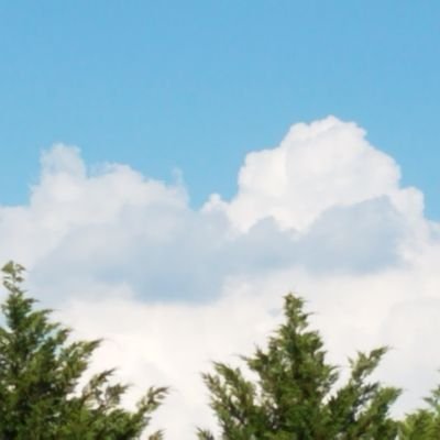 Investor2b's profile picture. Keep in mind that I sometimes scalp trade  depending on the company and situation.  Not recommending that you follow me into a trade.