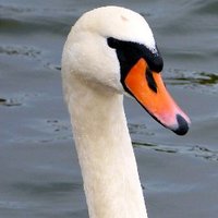MIAM (@miam_bonn) 's Twitter Profile Photo MIAM (@miam_bonn) 's Twitter Profile Photo