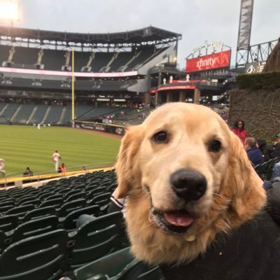 pbags5148's profile picture. Lewis U. / St. Laurence HS - Proud St Ambrose 🐝 and Penn St dad
