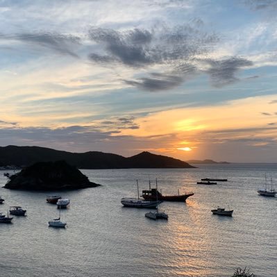 psychadvoc8's profile picture. Addiction MD, black & 🏳️‍🌈. All patients deserve our thoughtfulness & care. That is why they entrust in us when most vulnerable, & is our privilege to provide