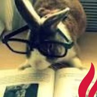 Miss M (@1bunny4t) 's Twitter Profile