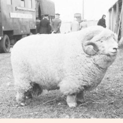 CryptoCrunch777's profile picture. Crypto