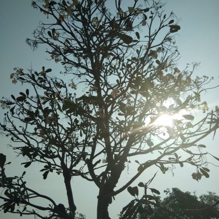 tipwaree2's profile picture. 