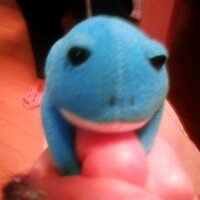 秋津ねを (@kaoneo) 's Twitter Profile