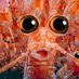 ⚡Crypto_Krill⚡ (@crypto_krill) Twitter profile photo ⚡Crypto_Krill⚡ (@crypto_krill) Twitter profile photo