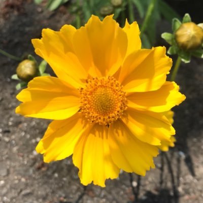 kikiS4's profile picture. 嵐歴26年突入！！ #嵐 #星野源 ほか