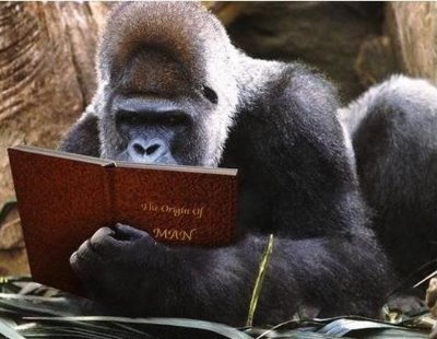 silverbk77's profile picture. 