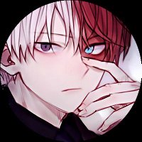 Todoroki Shòto(@0fBurnFreeze) 's Twitter Profile Photo