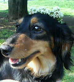 aikennotomo's profile picture. 横乗り系、ダーツ、バイ○の改造、お絵かき、などなど、、