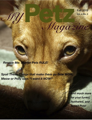 MyPetzMagazine's profile picture. My Petz Magazine is an all inclusive pet magazine, printed each season, and available online or on your phone. The magazine is focused on health and wellbeing.