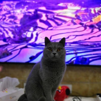 sai34143466's profile picture. 